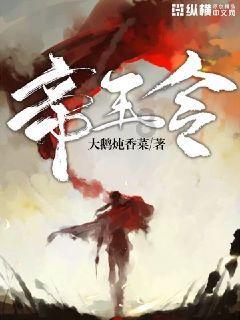 月光影视