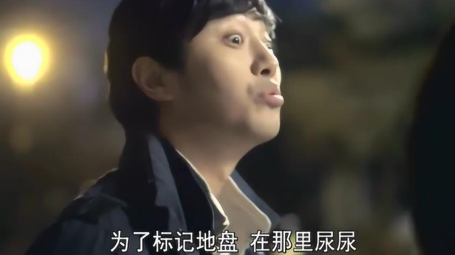 酒味的淡的意思——你的全能问答平台