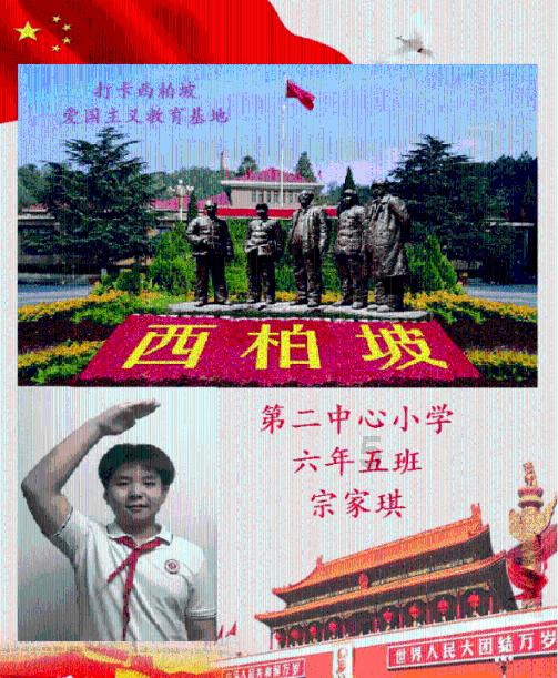 虫虫助手下载
